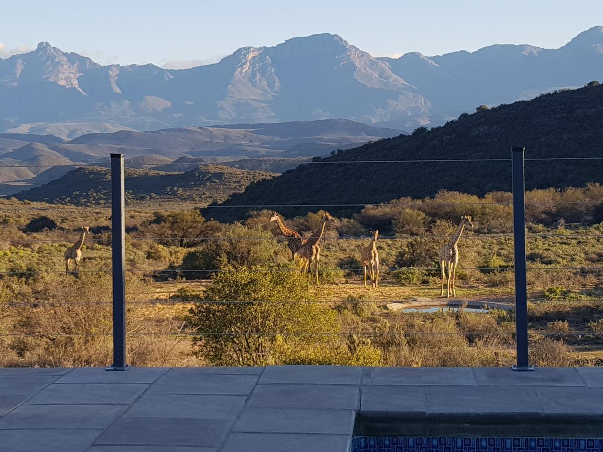 Rooiberg Safaris Vila Vyversrus Exterior foto